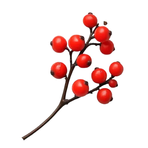 Berberine